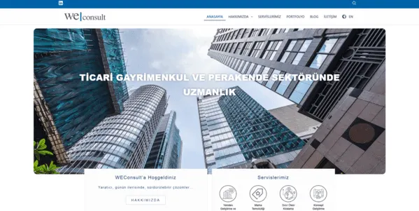 WeConsult web tasarım projesi