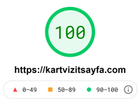 Kartvizit Sayfa PageSpeed Insights Performansı